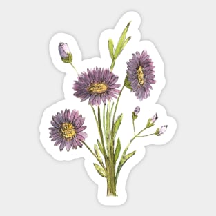 Purple Aster Flowers Watercolor Painting Sticker